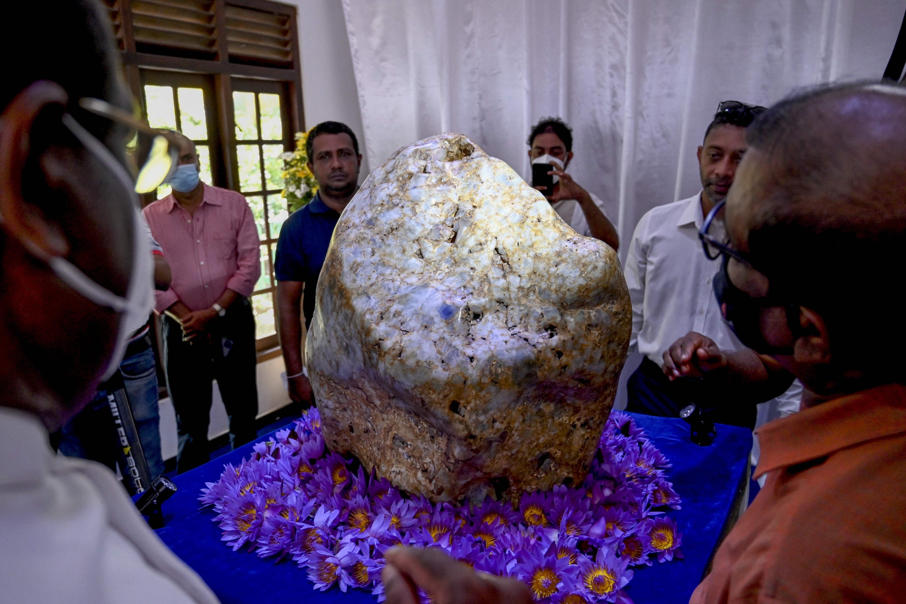 srilanka unveils world's biggest blue sapphire stone