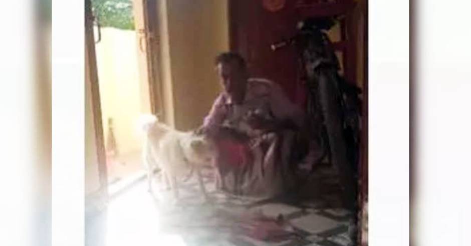 Pet dog saves owner life from poisonous snake in Madurai