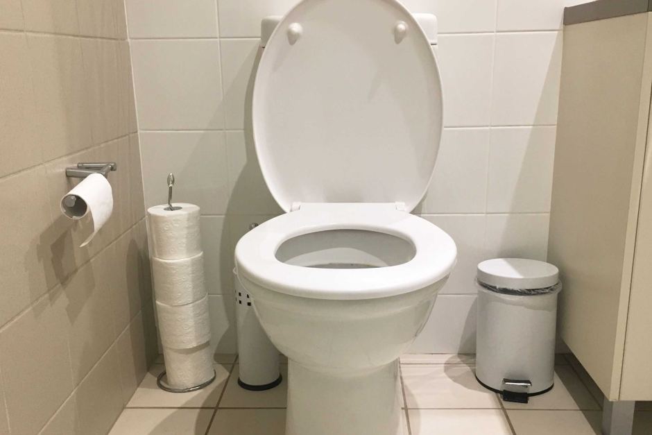 Why North Korea Kim Jong-un takes his own toilet wherever he goes?