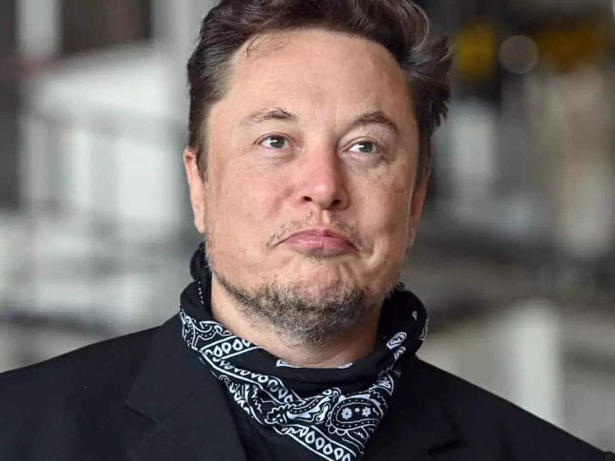 Elon Musk Tesla's share market value fell 12 percent