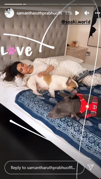 Samantha enjoys a nap, her love story pic go viral; hash and sasha