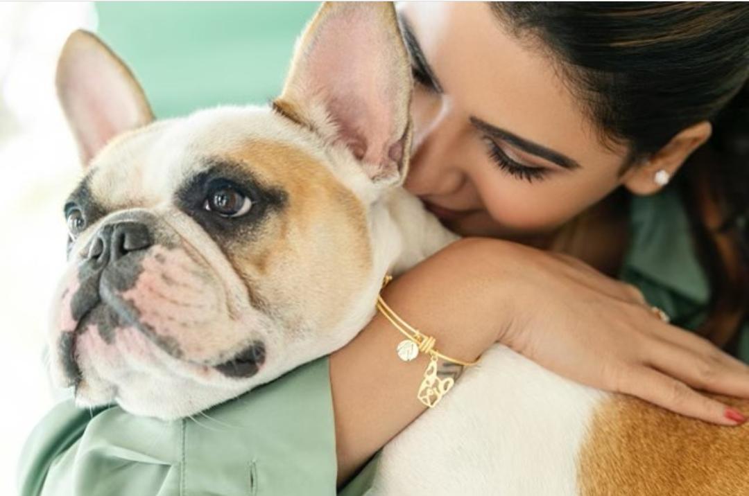 Samantha enjoys a nap, her love story pic go viral; hash and sasha