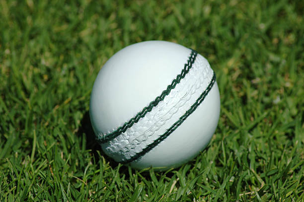 the fight erupted due to cricket ball in a Karnataka village