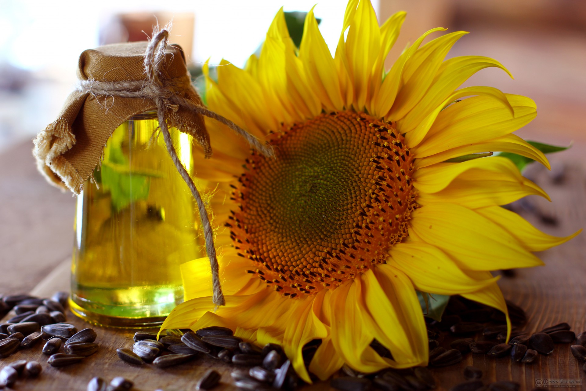Ukraine Rising sunflower oil prices due to Russian war