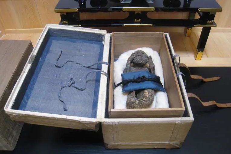 japan 300yr old mermaid mummy with human face baffle scientists 