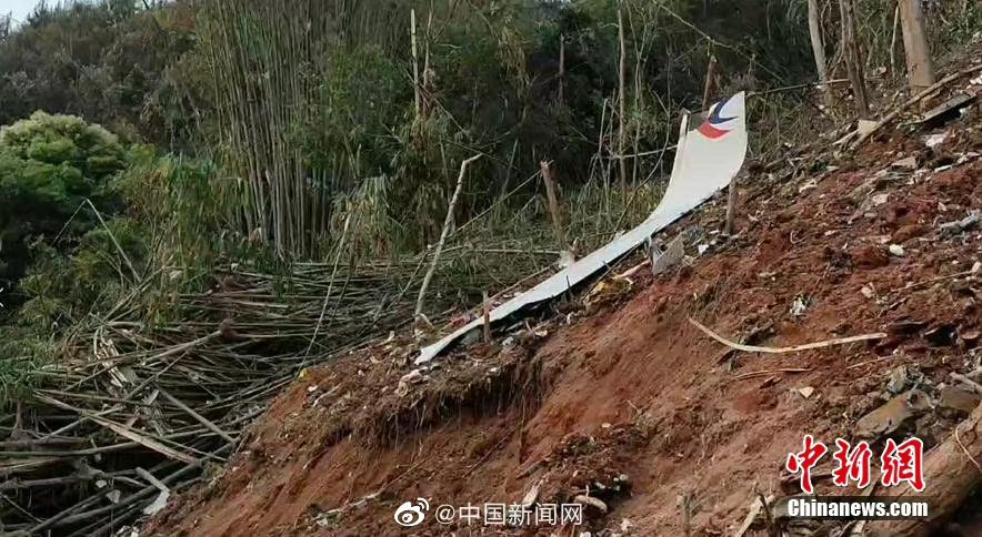  China Eastern Airlines Boeing 737 crash Viral Video 