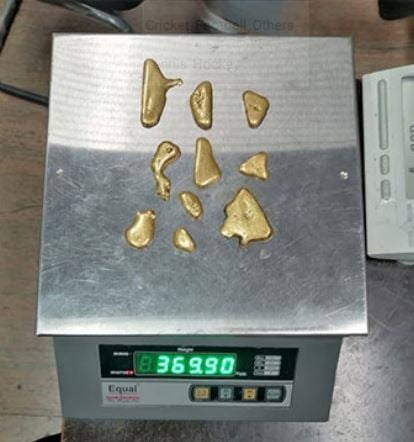 Man Caught at Jaipur airport with gold valued at Rs 19.45 lakh