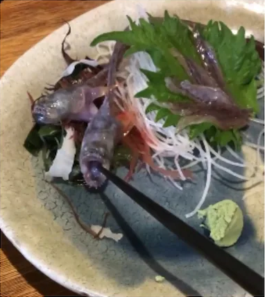 Fish served on plate opens its mouth and grabs chopstick