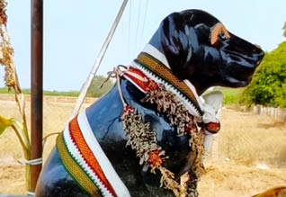 sivagangai man worships the idol of his dog
