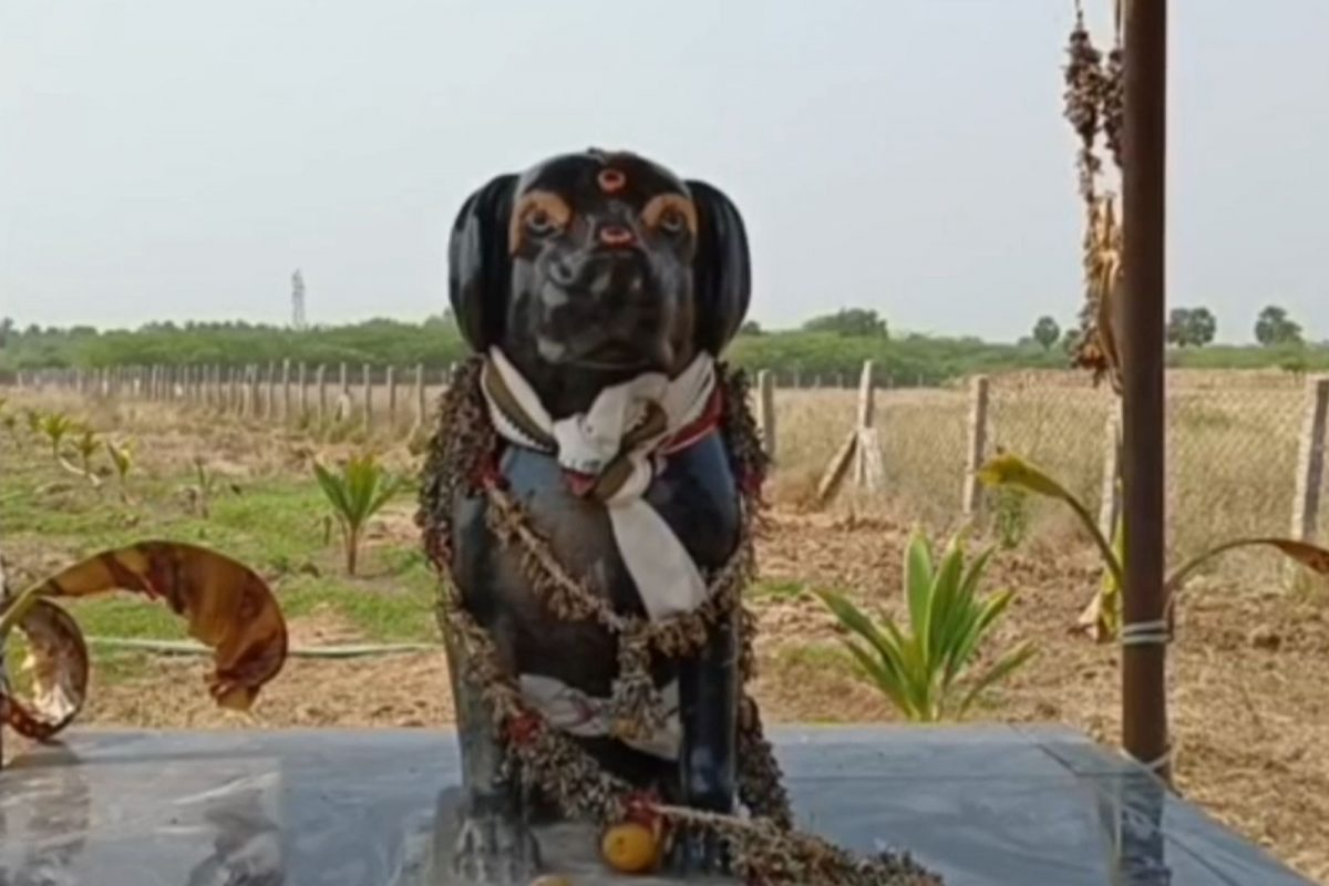 sivagangai man worships the idol of his dog 