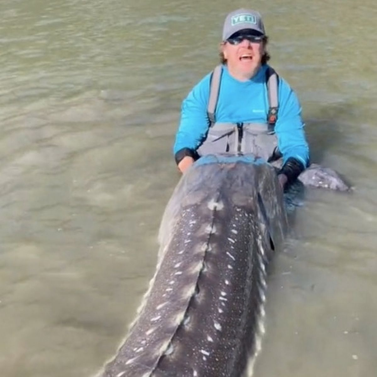 man catches massive living dinosaur on Fraser river