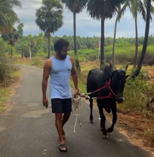 Actor surya walking with a bull new year wish viral video 