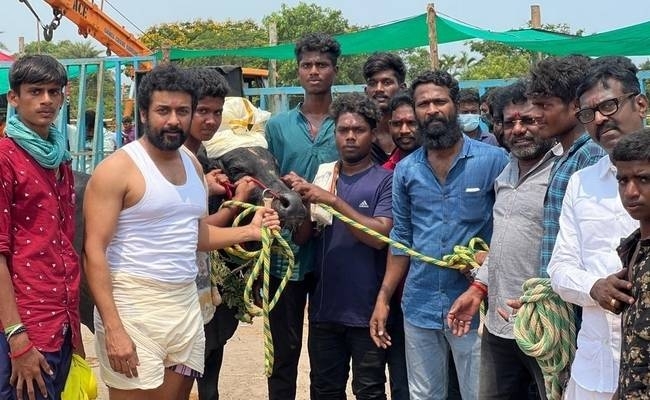 Actor surya walking with a bull new year wish viral video 
