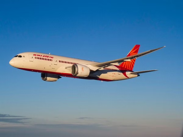 Air India Flight Delayed After Rat Seen On Plane 