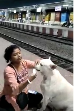 woman feeding curd rice to stray dog at a railway station in West Beng