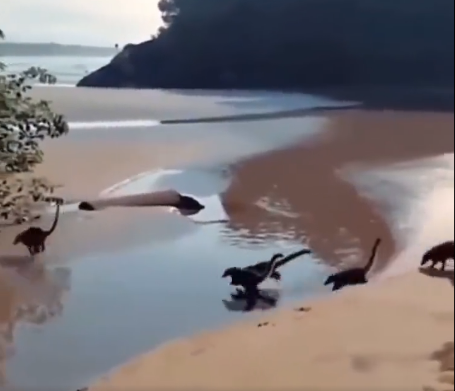 Baby Dinosaurs On A Beach video goes viral