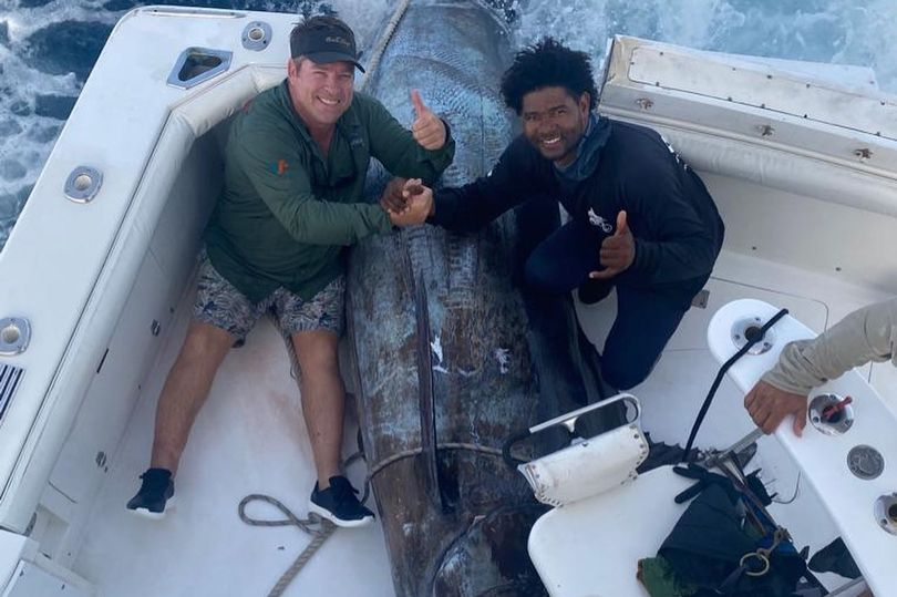 South African Fishermen caught huge Blue Marlin