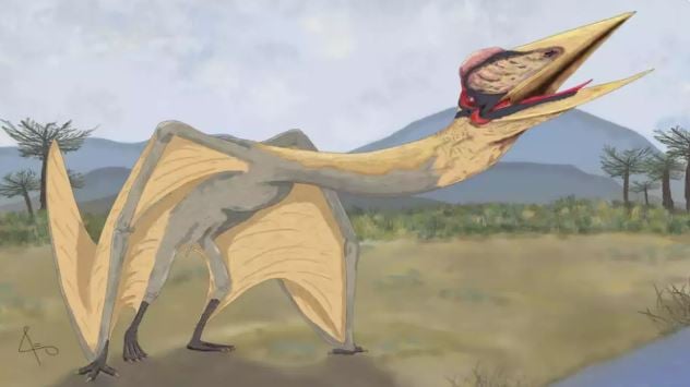 Scientists discovered remains of the 'Dragon of Death