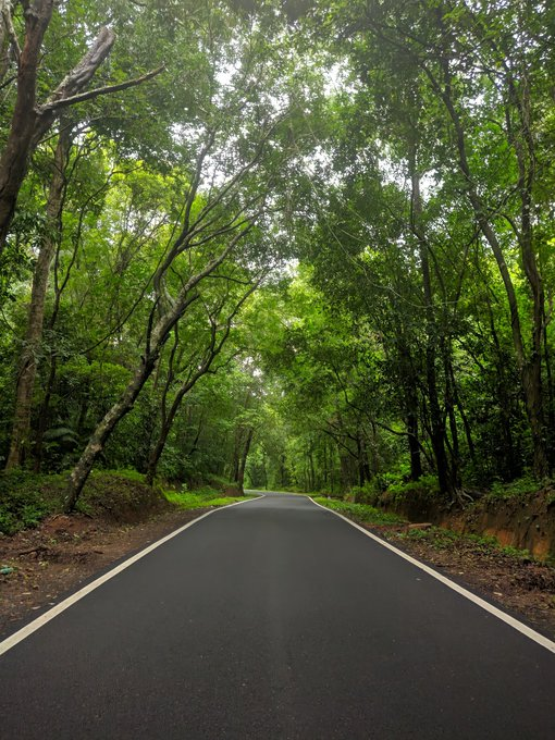 Anand Mahindra posts beautiful pic of jungle drive from Bengaluru to U
