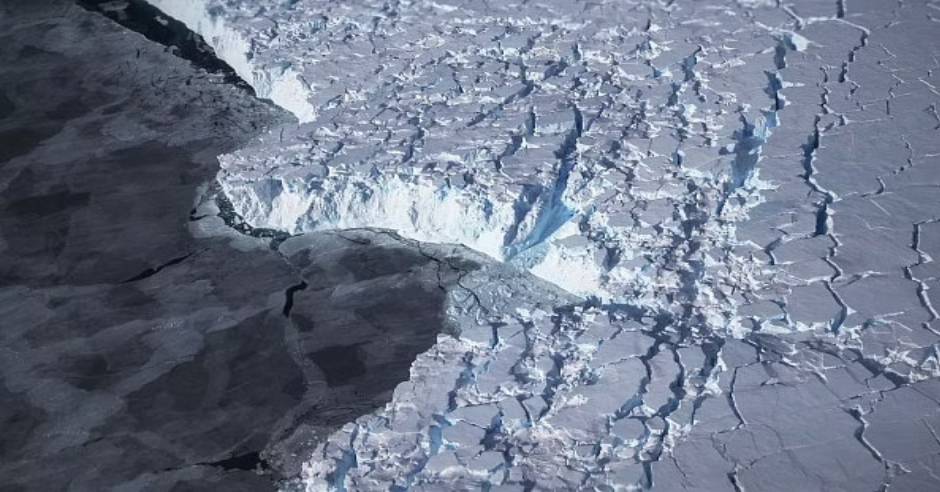 Hidden world of marine life discovered under ice in Antarctic