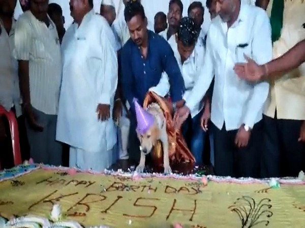 Karnataka businessman celebrated his dog birthday with 100kg cake and 