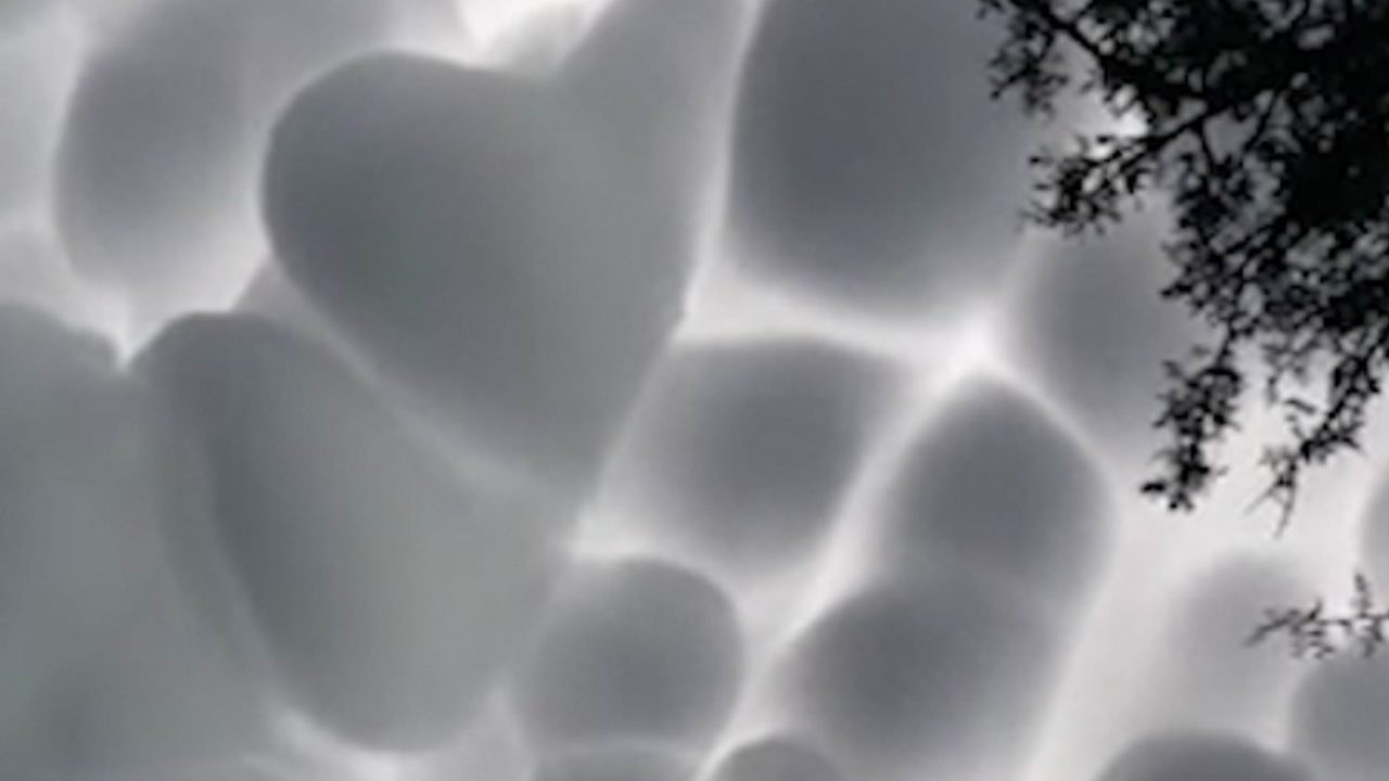 clouds that look like vape bubbles and cotton balls