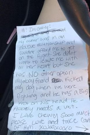 Puppy abandoned in airport bathroom with heartbreaking note from owner