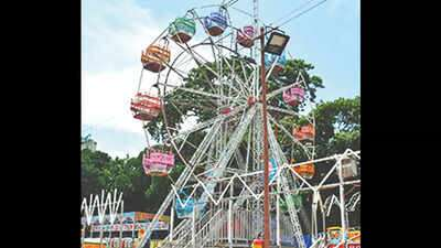 26 year old woman falls off Ferris wheel during amusement ride