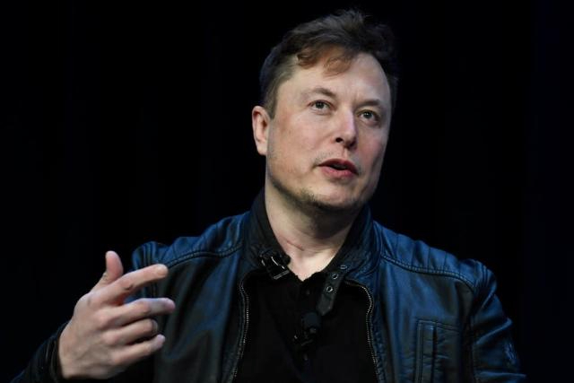 elon musk father errol musk married his step daughter sources