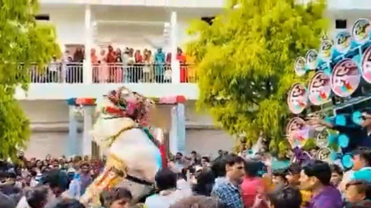 horse stomps over crowd during wedding procession