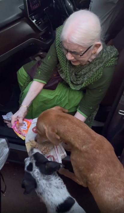 90 yr old woman wakes up at 4:30 am to cook for stray dogs