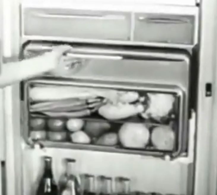 66 yr old fridge advertisement viral among netizens