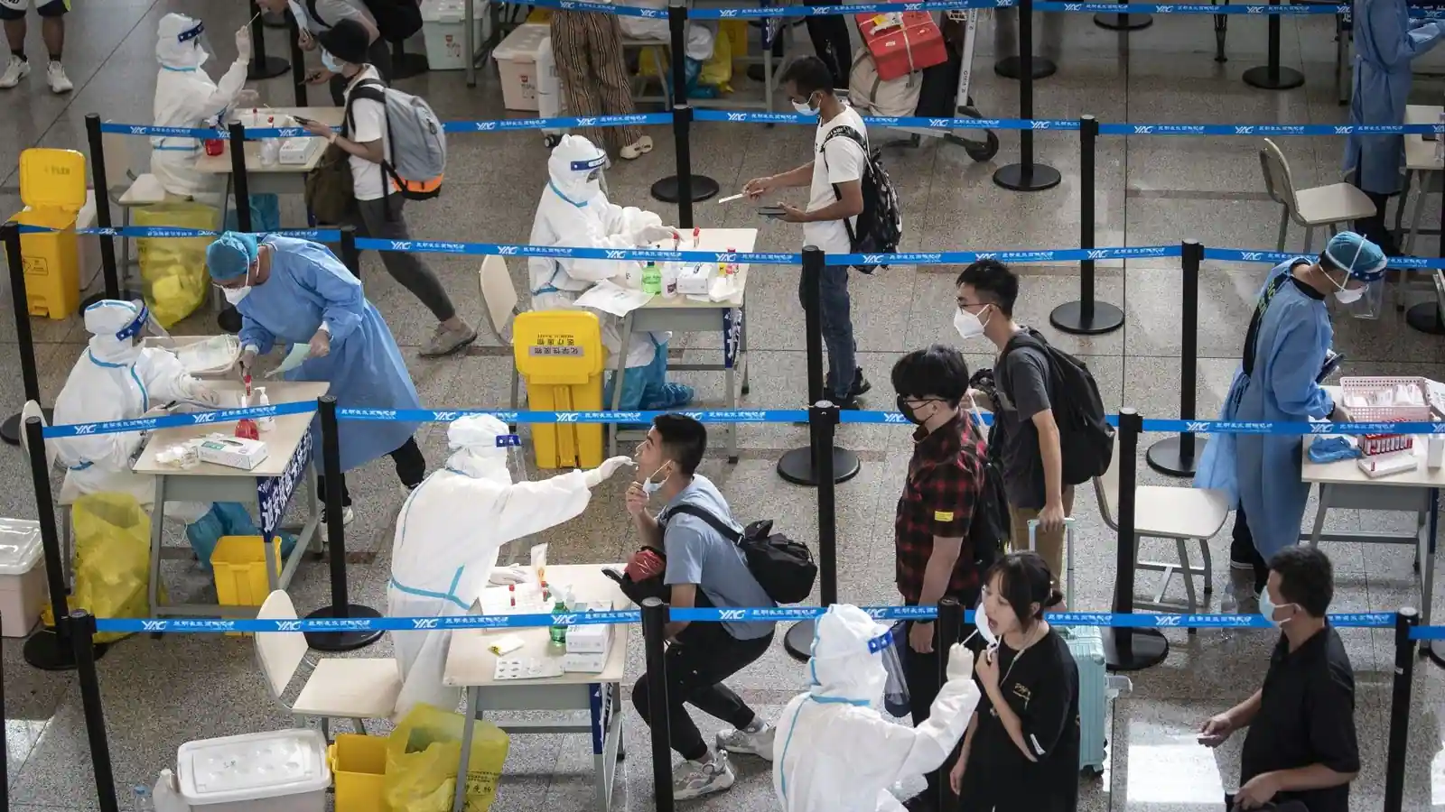 New Langya virus hits China 35 people infected