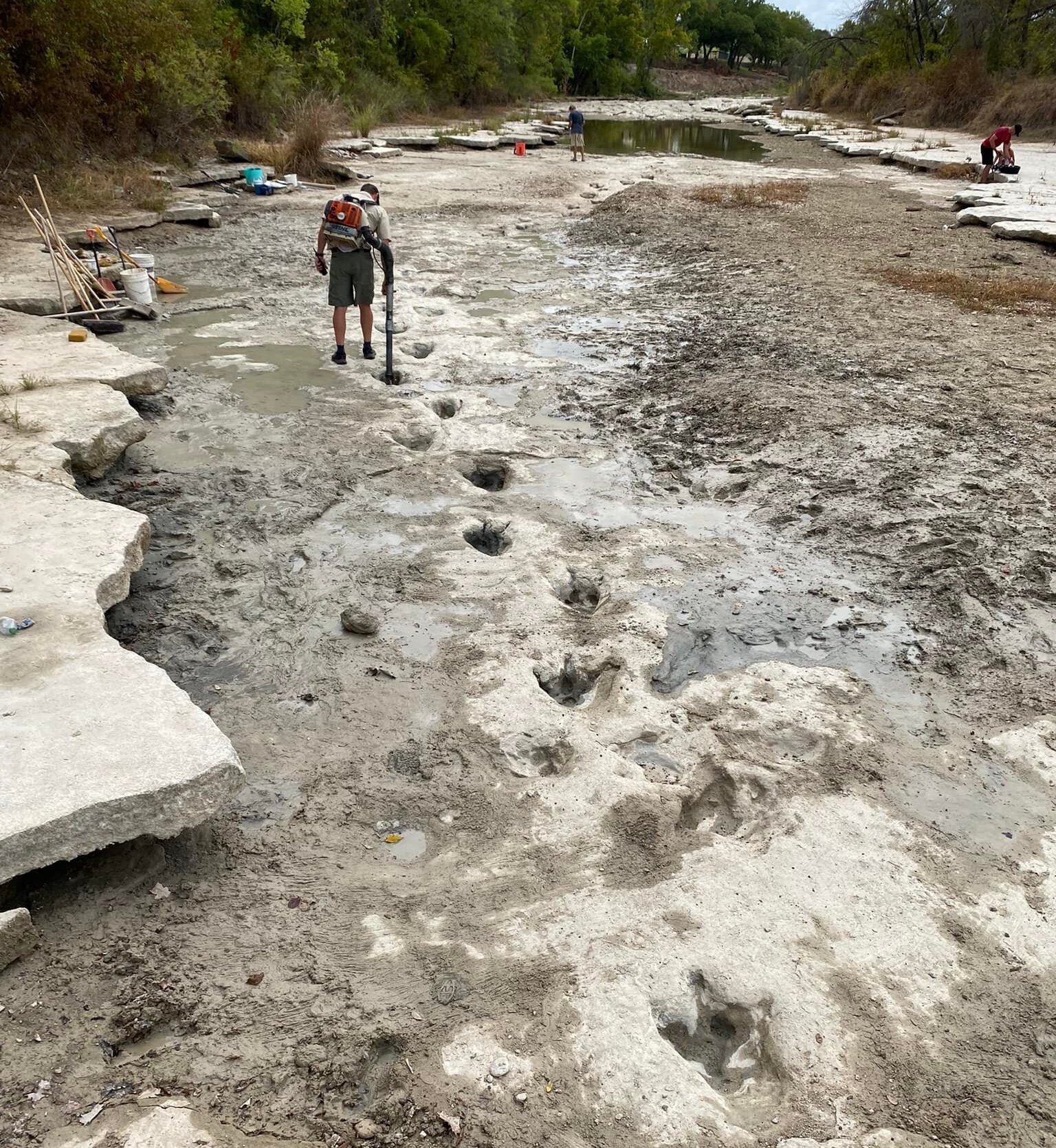 dinosaur tracks found in texas amid droughts 
