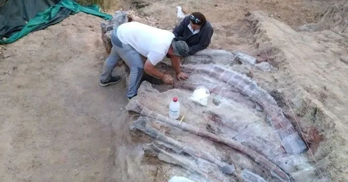 Large dinosaur skeleton found in man’s back garden in Portugal