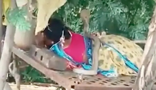 Snake Climbs On Top Of Woman Resting In The Field