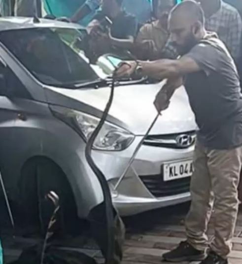 kerala snake which get into the car found after few days