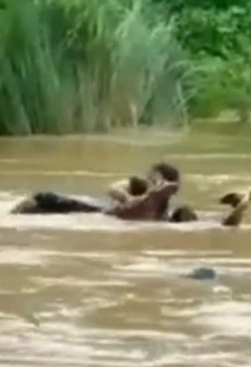 andhra sister cross river with the help of her brothers