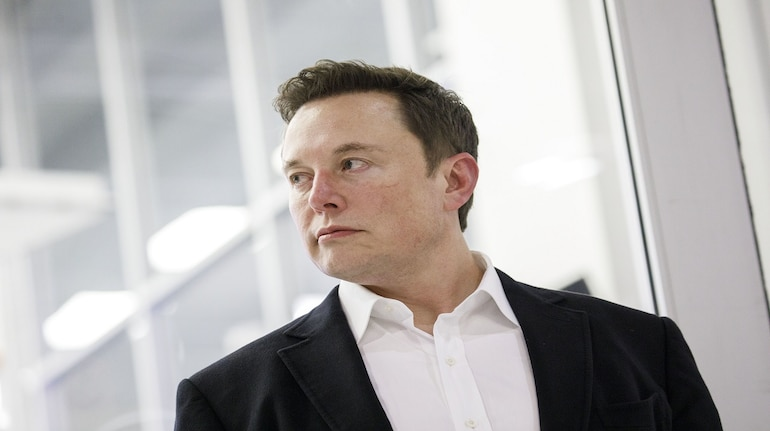 Elon Musk reply on US professor over emerald mine claims