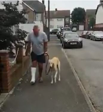Harsh Goenka Shares Video Of Dog Imitating Its Injured Owner