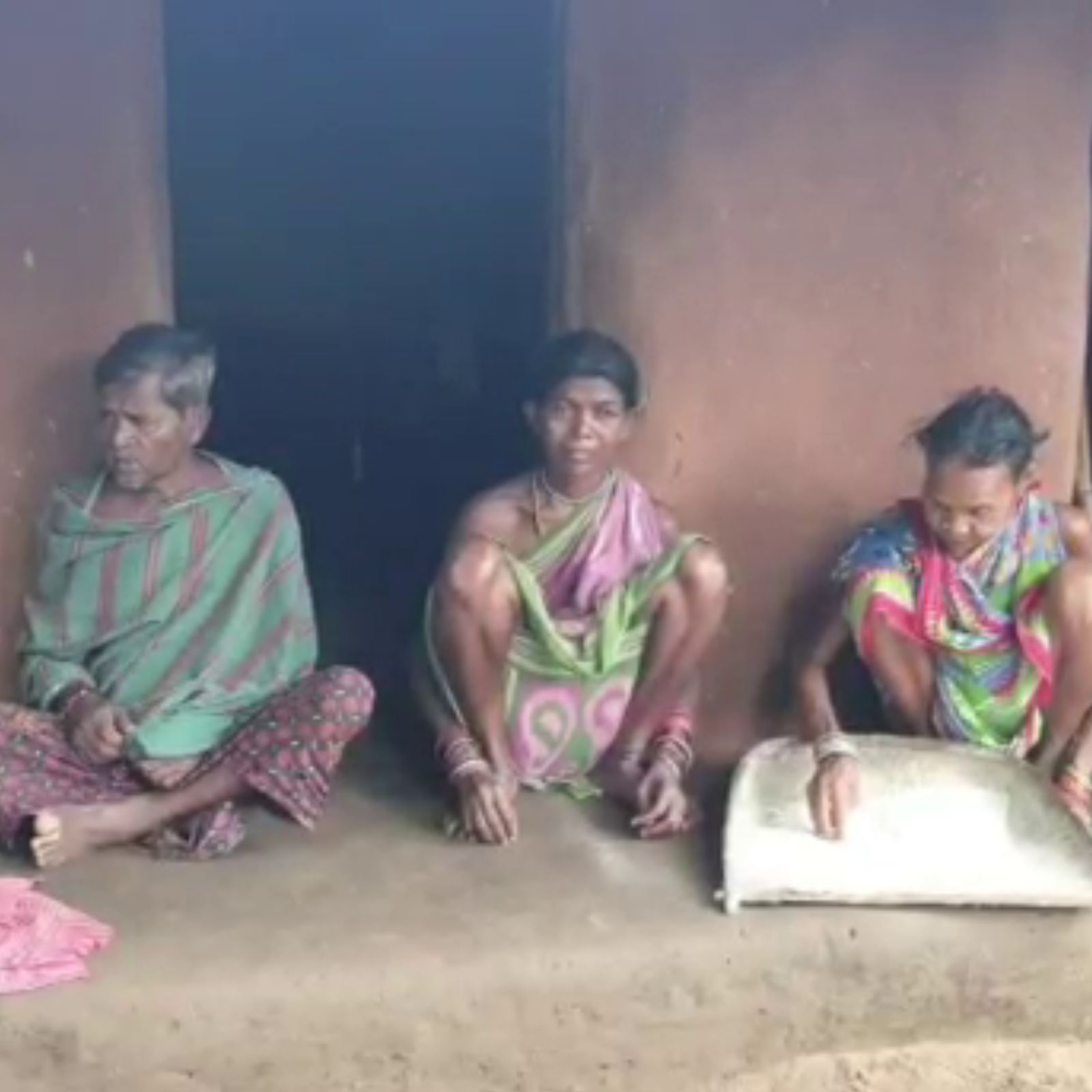 Family from Nilimari Village Lives With Several Cobras