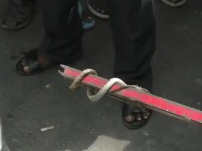 karur snake entered into a two wheeler woman get fear 