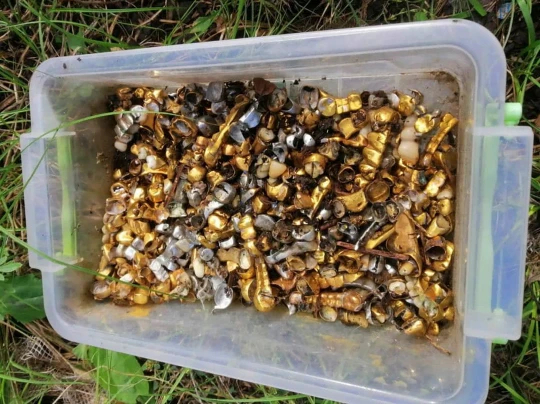 ukraine golden teeths found in russian soldier chamber 