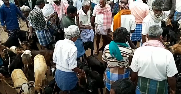 2 Crore worth goats sold in the ayyalur goat market ahead of Diwali