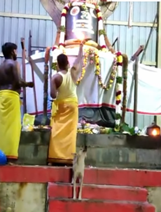 Dog Worships Sivan Pooja in Adhma Lingeshwarar temple