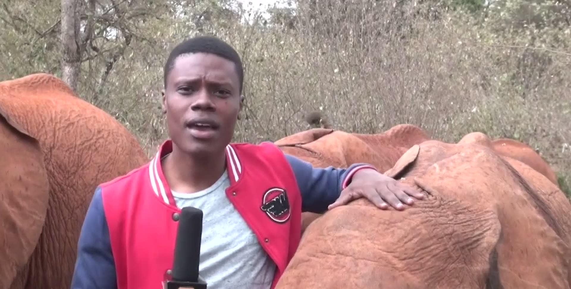 baby elephant interrupts to reporter in video people reacts