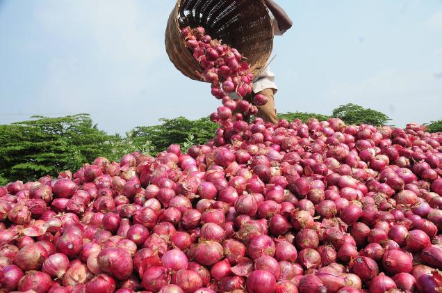 Karnataka farmers only get 8 rupees for 205 kg onion receipt viral