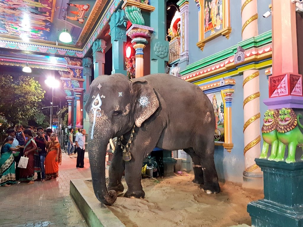 Manakula Vinayagar Temple Elephant Lakshmi Memorial