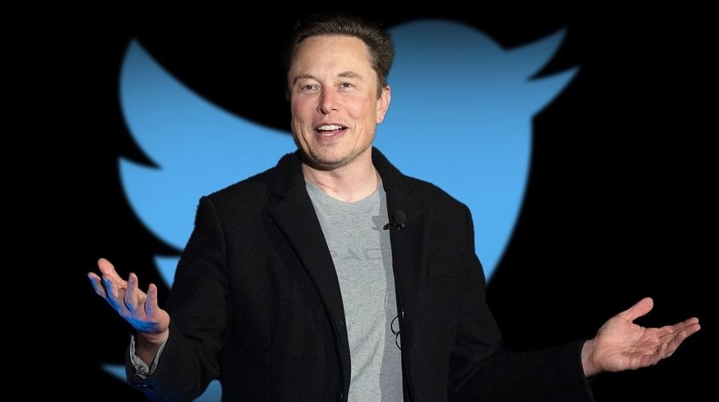 Elon Musk poll in twitter about step down from head of twitter
