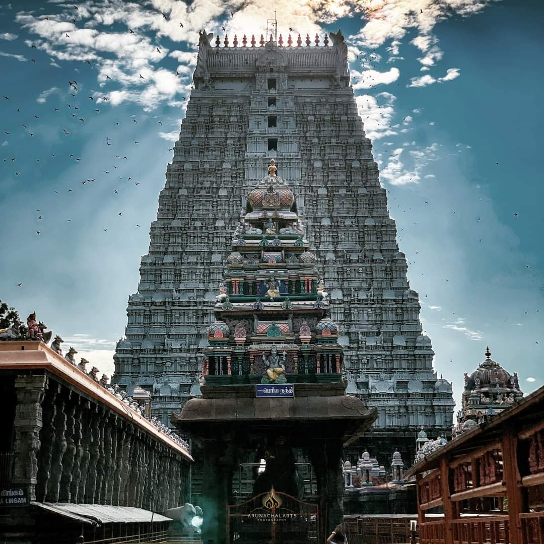 Director Aishwarya Rajinikanth visit Thiruvannamalai Temple